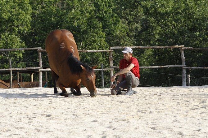 Private Tuscany Horseback Ride - Background
