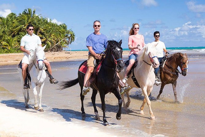 Private V.I.P Sightseeing, Shopping and Beach Tour - Weather Conditions and Alternative Options