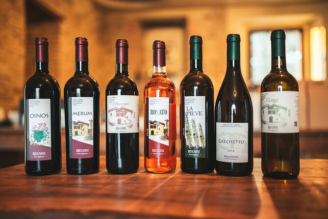 Private Visit to the Brugnoni Winery With Tastings - Mention of Family History and Wine Purchase