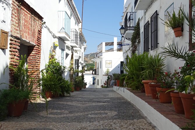 Private Walking Tour Around the Old Town of Frigiliana - The Sum Up