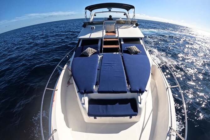 PRIVATE Whale Watching Tour and Snorkeling Tour Cabo San Lucas - Reviews and Ratings
