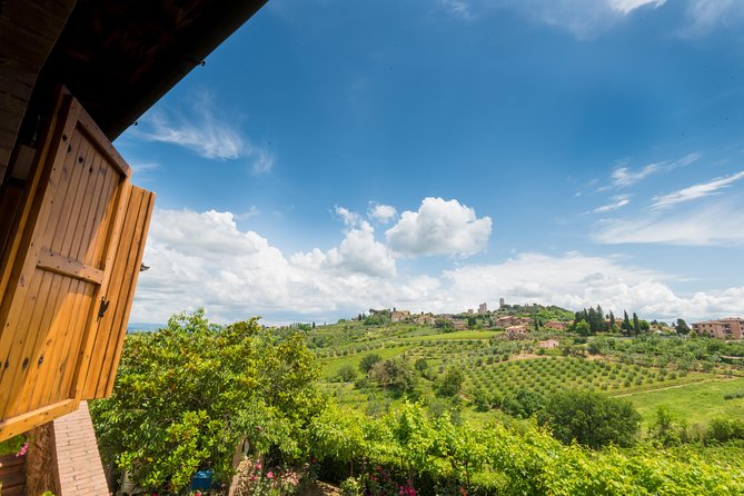 Private Wine & EVO Oil Tasting With Tuscan Meal - Savor a Memorable Tuscan Meal