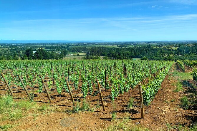 Private Wine Excursion Willamette Valley, Oregon - Wine Tour - Booking and Reservation Process