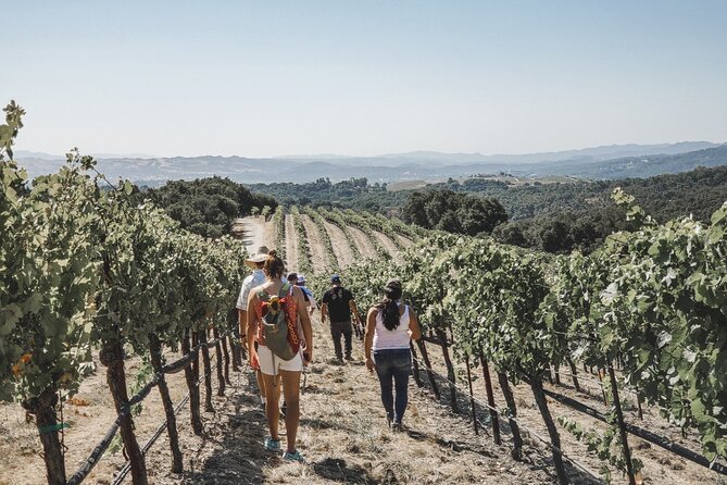 Private Wine Tour in Paso Robles - Common Questions