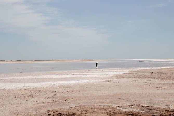 PROMO: Circuit 8 Days and 7 Nights South of Tunisia to Discover the 3 Deserts - Pricing and Group Size Options