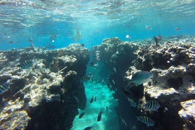 Puerto Plata Shore Excursion, Snorkeling Tour & Sosua Beach Day - Additional Details