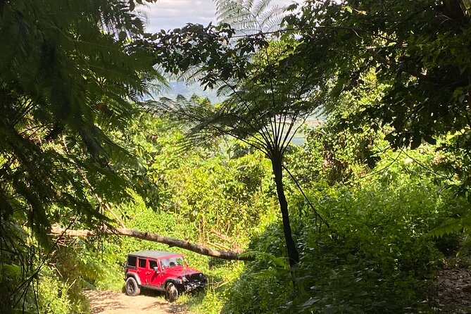 Puerto Rico Private Full-Day Jeep Excursion - Customer Reviews and Recommendations