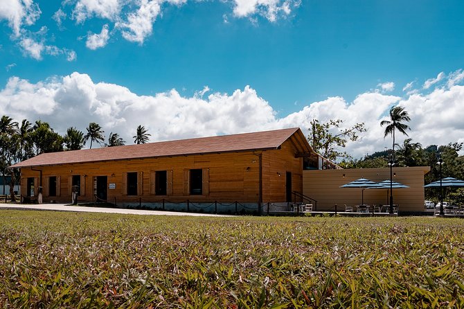 Puerto Rico Rum Estate Small-Group Tour With a Cocktail  - San Juan - The Sum Up