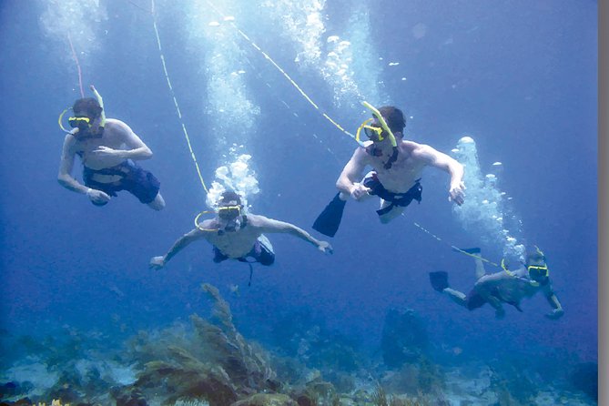Punta Cana Party Cruise With Snorkeling, Hooka Diving and Parasailing - Common Questions