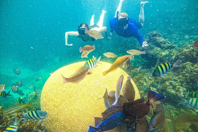 Punta Cana Private Cruise up to 10 Snorkeling & Seafood Lunch - Cancellation Policy and Weather Considerations