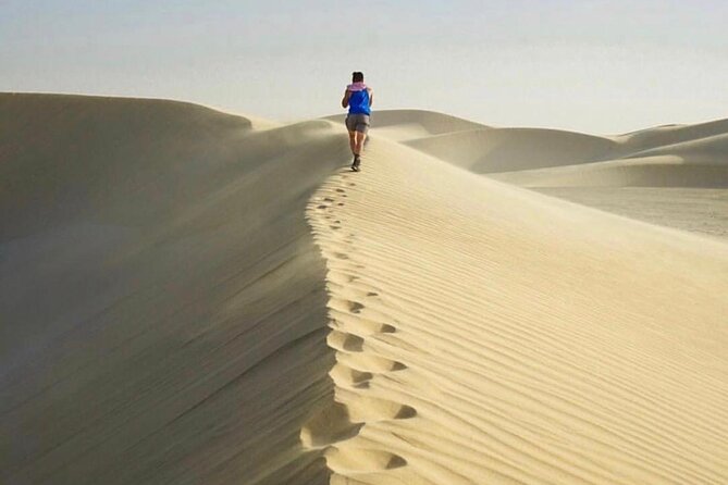 Qatar Private Half-Day Desert Safari Tour From Doha - Booking Details and Information