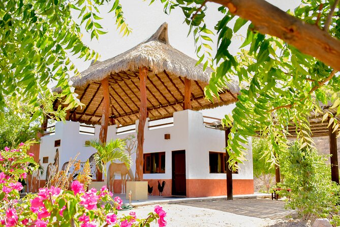 Ranch Farm Experience and Horseback Ride  - La Paz - Transportation Arrangements