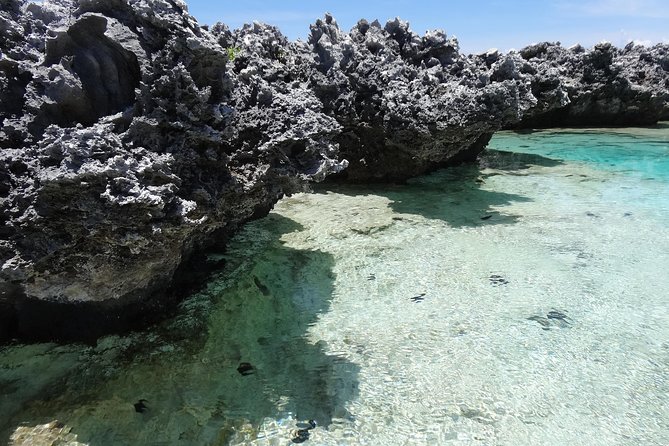 Reef Island Tour - Booking Information