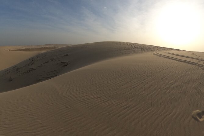 Relax Desert Safari Tour With Camel Ride and Sand Boarding - Additional Information and Inquiries
