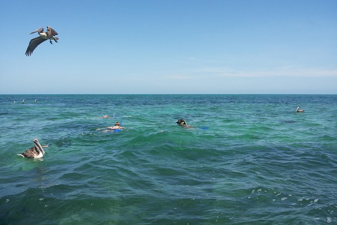 Relaxing Private Boat Tour to Cabo Catoche With Fishing and Snorkeling - Directions