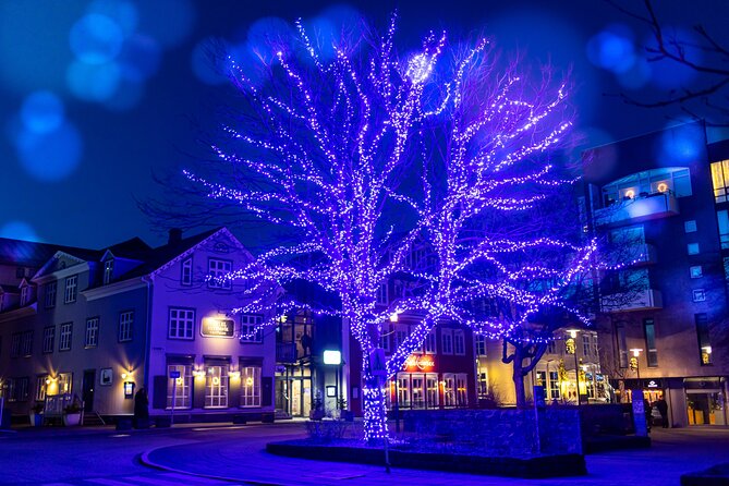 Reykjavik Christmas Walking Tour - Suitable for Young Adults