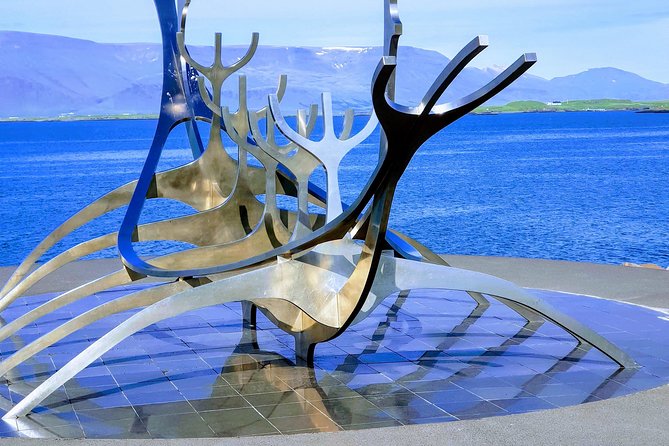 Reykjavik Private Half-Day City Tour - Tour Details