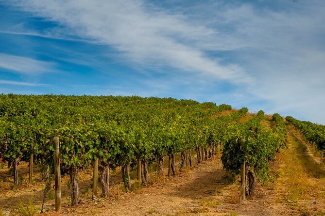 Rhodes Wine & Food Tour: 10 Meal Course Lunch, Wine Tasting, Cooking Class - Personal Review: Great Way to Spend the Morning