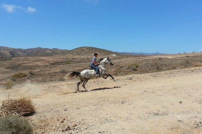 Riding 2 Hours Along the Maspalomas Route - Common Questions