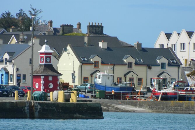 Ring of Kerry and Skellig Ring Private Tour - Inclusions