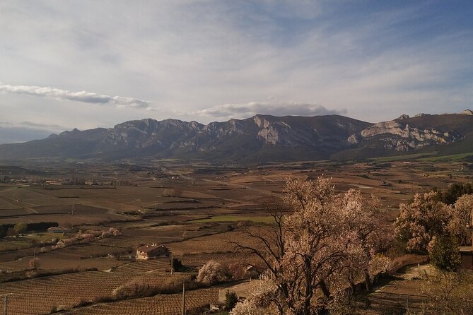 Rioja Wine Country Full-Day Private Wine-Tasting Tour  - San Sebastian - Directions