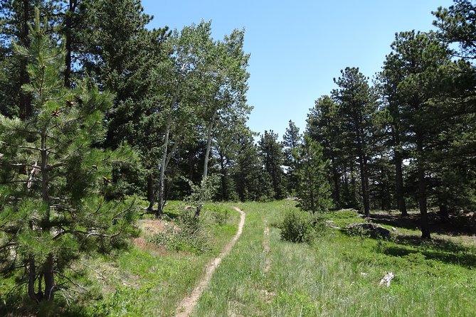 Rockies Guided Half-Day Small-Group Hike From Denver - Meeting and Pickup