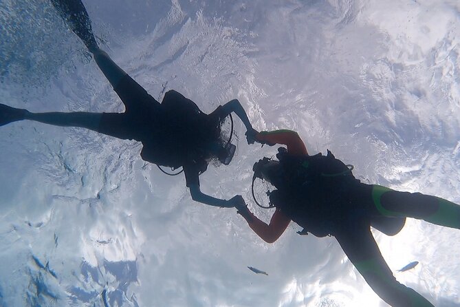 Romantic Dive for Beginners in Bora Bora (2 People) With Video - Reviews and Ratings