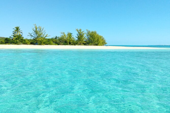 Rose Island Snorkel Tour! Four Hour Motorboat Tour to Rose Island Beach - The Sum Up