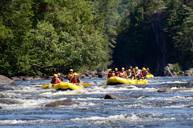 Rouge River Family Rafting Must Include a Kid (6-11 Yrs) - Expectations and Requirements