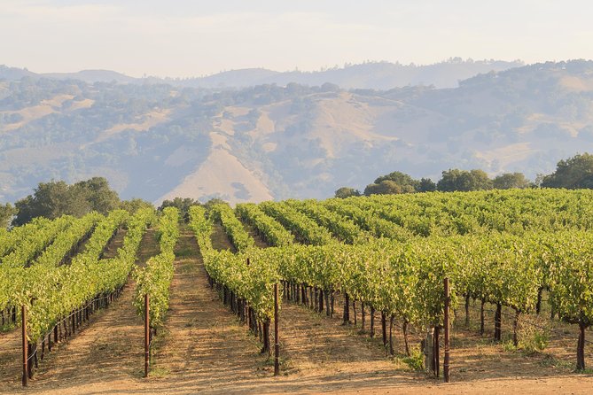Russian River Weekend Wine Tasting & Gourmet Lunch - The Sum Up