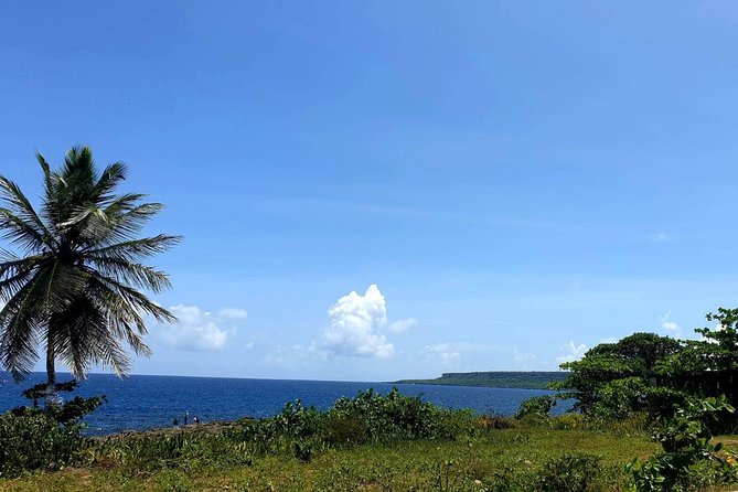 Safari Discovery to Boca De Yuma – Nature, Discovery and History of a Population - Small Group Experience and English-Speaking Guide