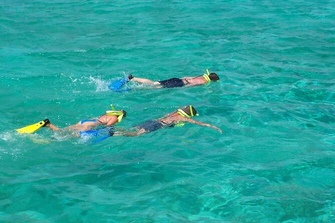 Sail and Snorkel in Cades Reef - The Sum Up