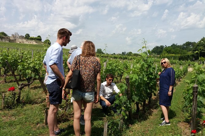 Saint Emilion Wine Tour Half Day - Traveler Reviews