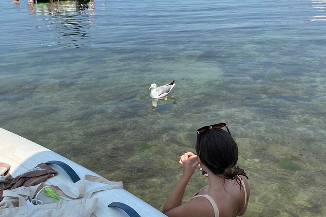 Saint Jean De Luz Boat Trip - Cancellation Policy Details