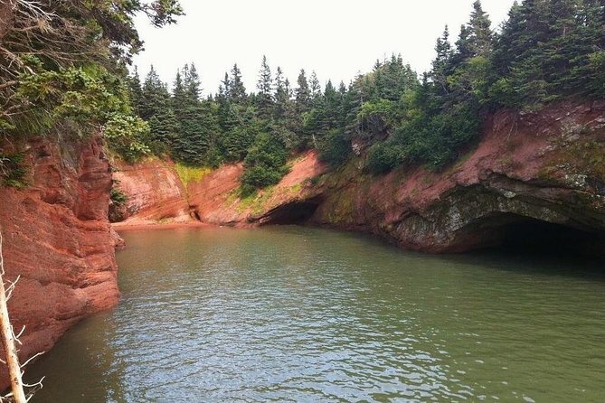 Saint John Cruise Ship Shore Tour to Bay of Fundy - Meeting and Pickup Details