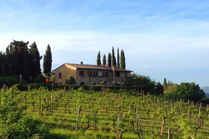 San Gimignano Organic Vineyard Private Tour With Tuscan Meal - Traveler Reviews
