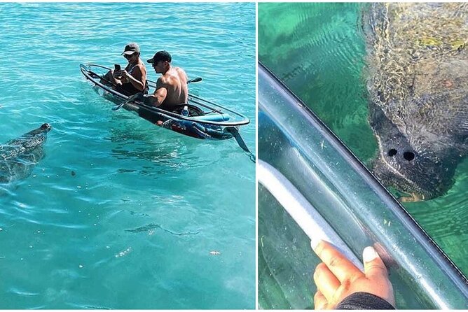 San Juan, Puerto Rico: Morning Glass-Bottom Kayak Tour - Customer Reviews and Tour Guides