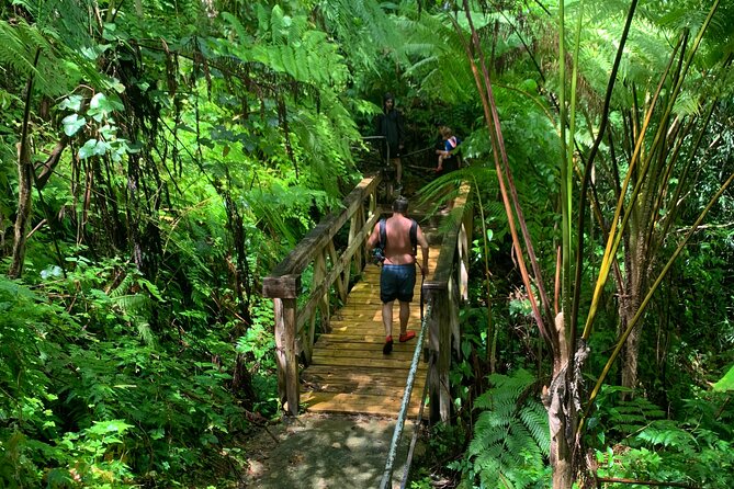 San Juan Small-Group Rain Forest Hike - Common Questions