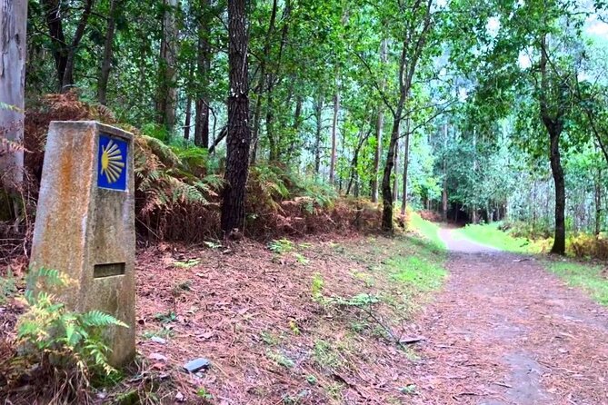Santiago De Compostela Shore Tour & CAMINO - Common Questions