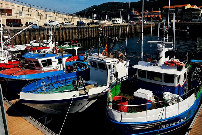 Santoña: Anchovy Factory & Boat Trip - The Sum Up