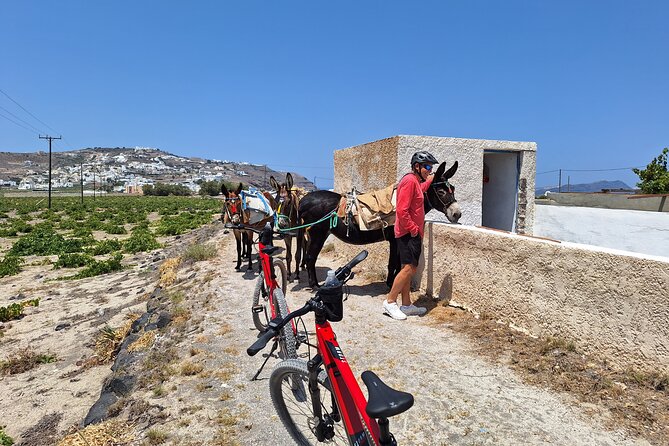 Santorini: E-Bike Tour Experience - The Sum Up