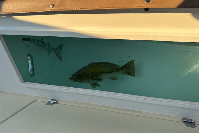 Santorini Fishing Tours - Private Santorini Boat Tours - Unique Experience
