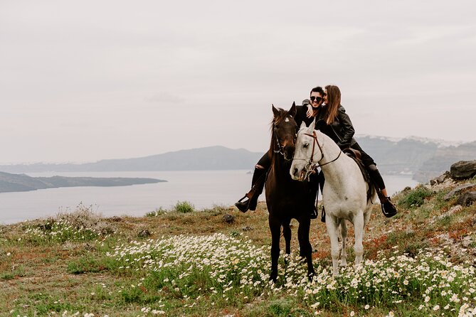 Santorini: Horse Riding on the Caldera Cliff - Reviews