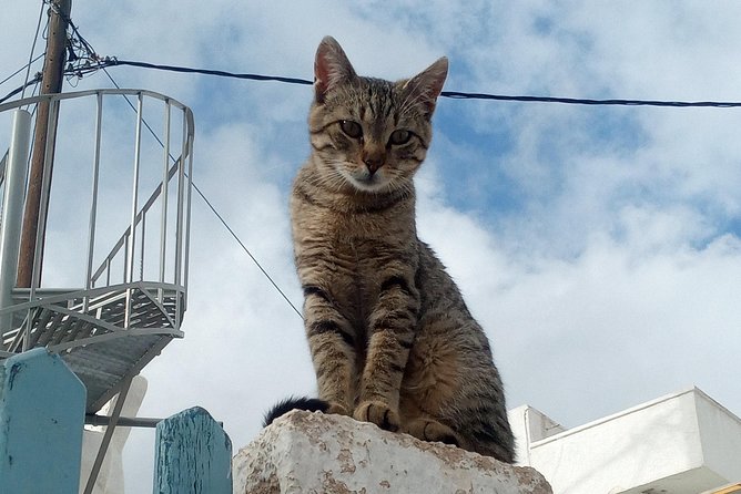 Santorini Local Life Full Day Tour - Pricing Details and Booking Information