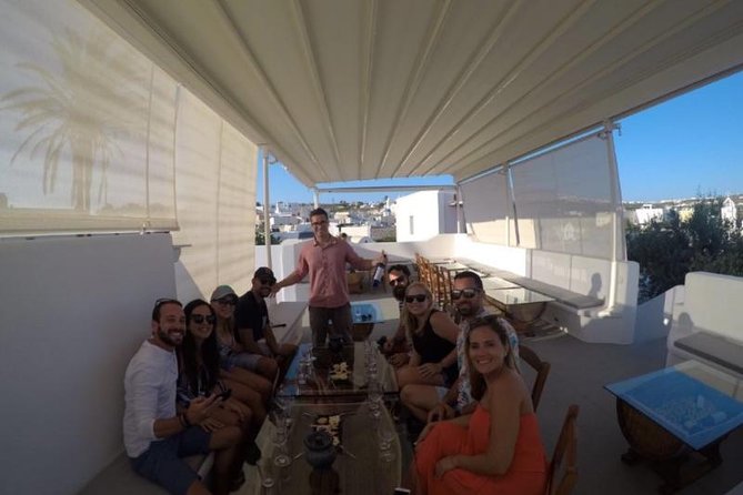 Santorini Wine Tasting, Vineyard Small-Group Tour - The Sum Up