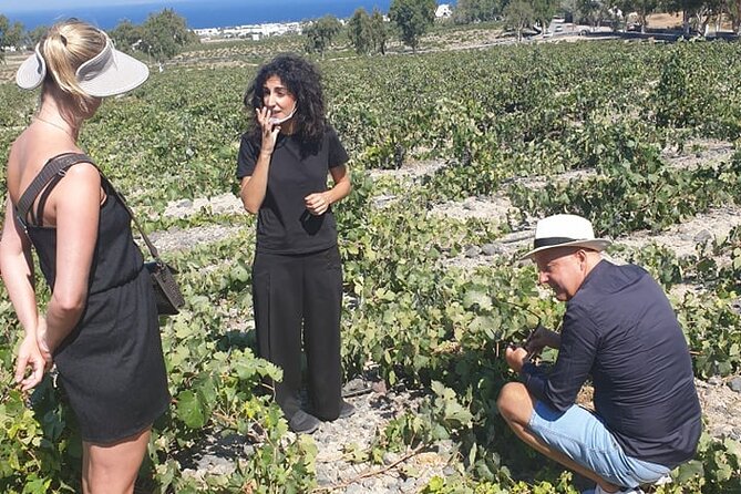 Santorini Winery Tour and Tasting - Common Questions