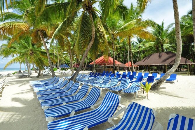 Saona Island and Snorkeling From Punta Cana - Snorkeling Experience