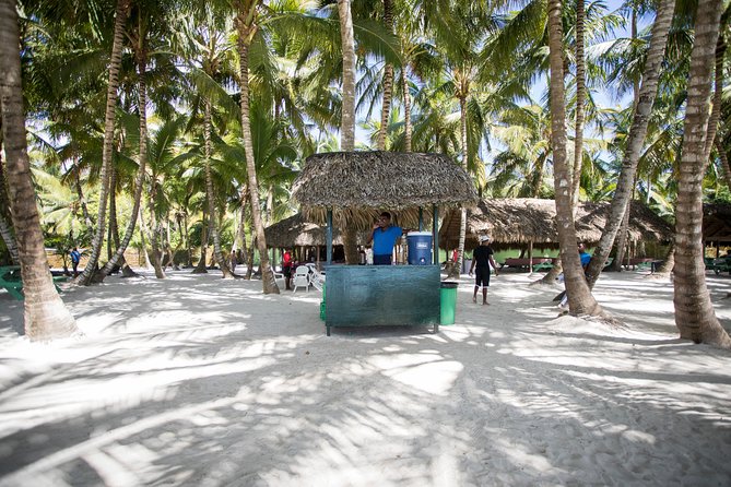 Saona Island Day Trip From Punta Cana With Lunch and Open Bar Included - Scenery, Activities, Fun, and Entertainment