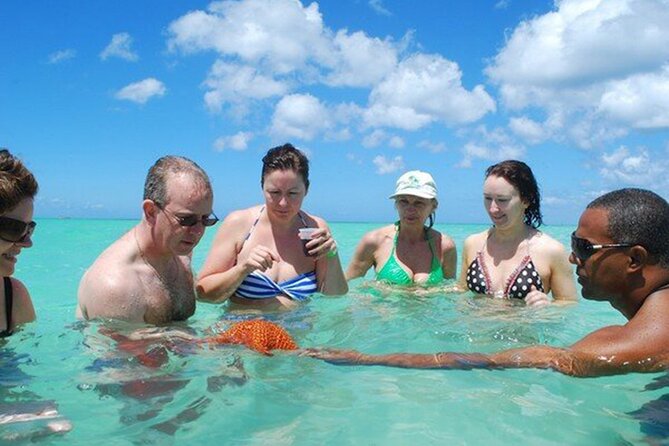 Saona Island Full Day Excursion From Punta Cana Catamaran Party - Addressing Misleading Advertisement Claims