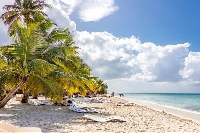 Saona Island Full-Day Tour With Lunch From Punta Cana - Tour Information and Pricing
